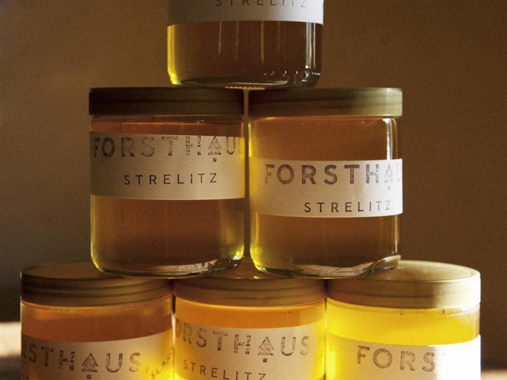 Forsthaus Strelitz Hotell Neustrelitz Rum bild